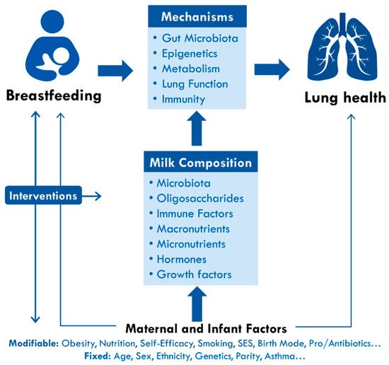 Breastfeeding can reduce the risk of disease