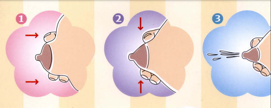 best way to hand express breastmilk by hand