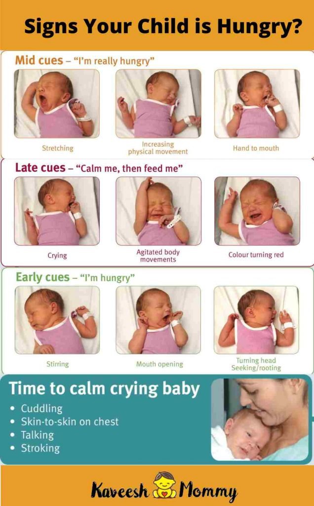 signs that your baby is hungry