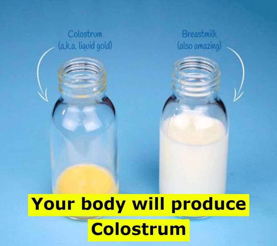 Your body will produce Colostrum (1)