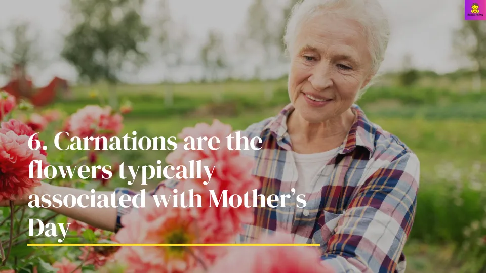 Carnations are the flowers typically associated with Mother’s Day