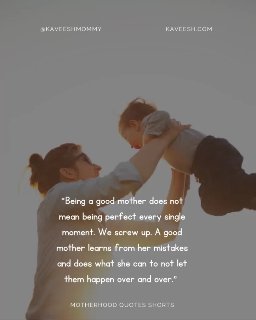 “Being a good mother does not mean being perfect every single moment. We screw up. A good mother learns from her mistakes and does what she can to not let them happen over and over.” – Amy Hatvany