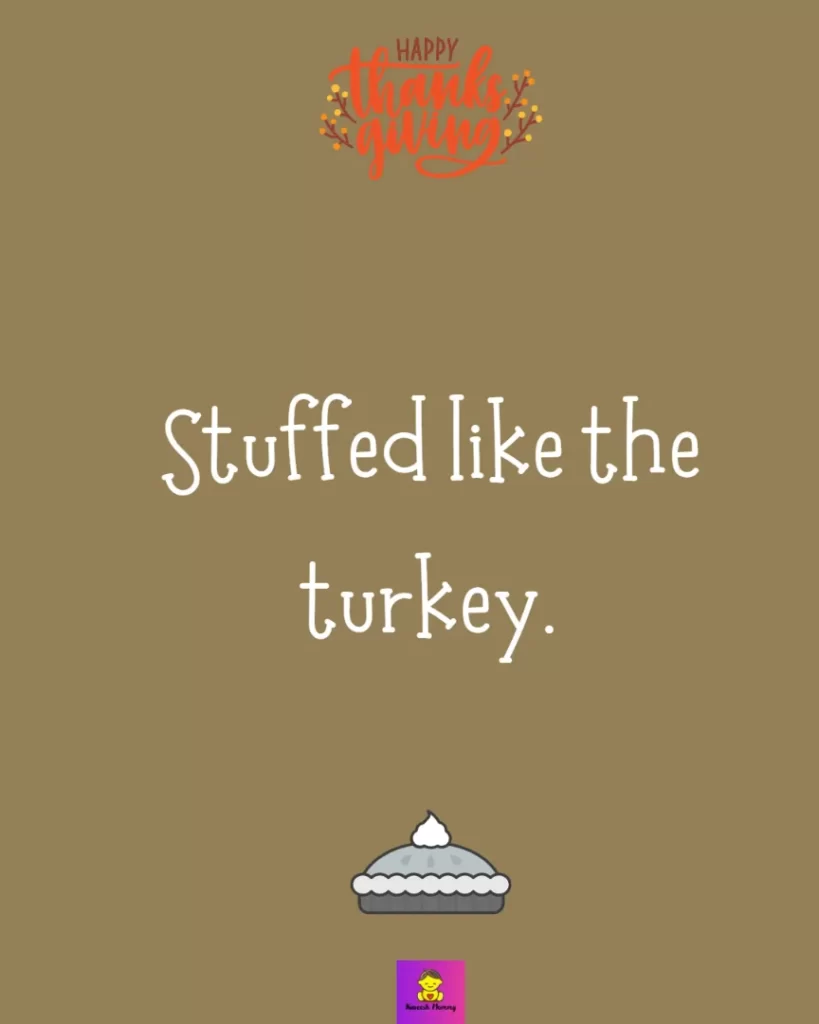 Funny Thanksgiving Captions for friends-Stuffed like the turkey.