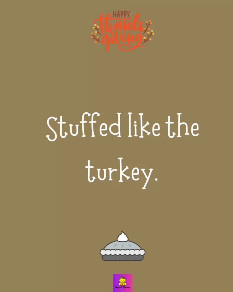 Funny thanksgiving stories for kids