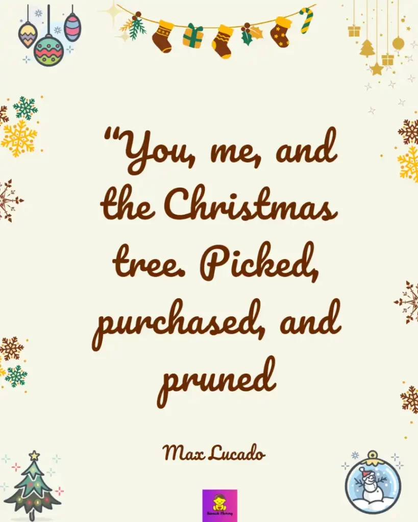 jokes Funny  Christmas quotes,