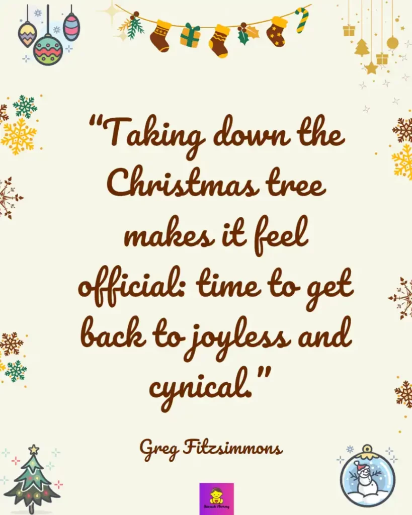 best Funny  christmas quotes,