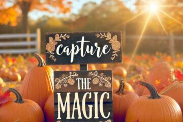 Struggling to find the perfect words for your pumpkin patch photos? I’ve got you covered with a collection of heartfelt quotes that capture the magic and joy of your fall moments.