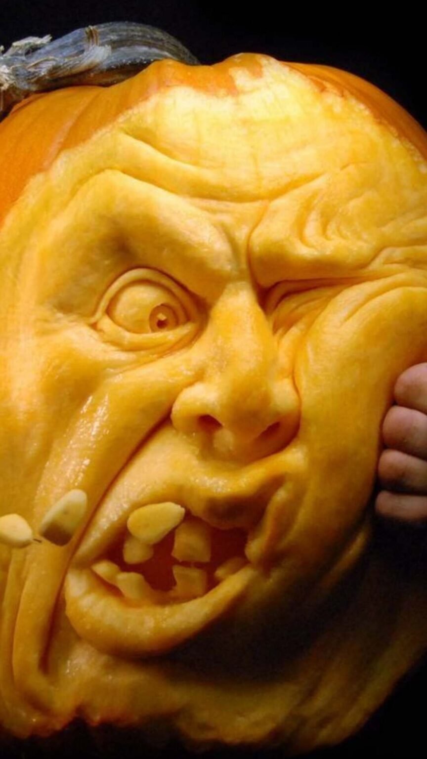 50 Halloween Pumpkin Carving Ideas That Will Wow Your Neighbors ...