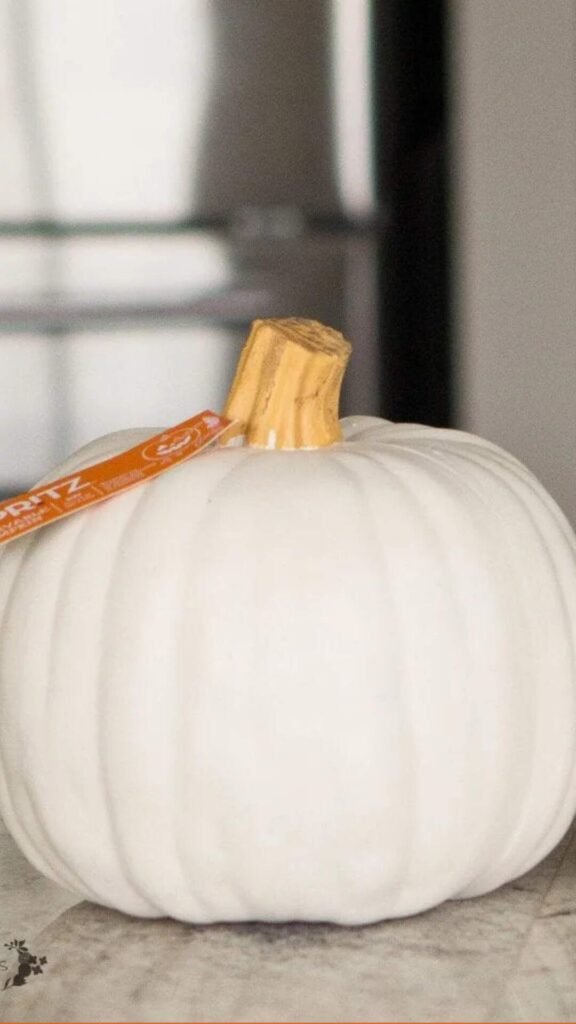 20 No-Carve Pumpkin Ideas That Will Save Your Sanity This Halloween! 9 20 No-Carve Pumpkin Ideas That Will Save Your Sanity This Halloween! -