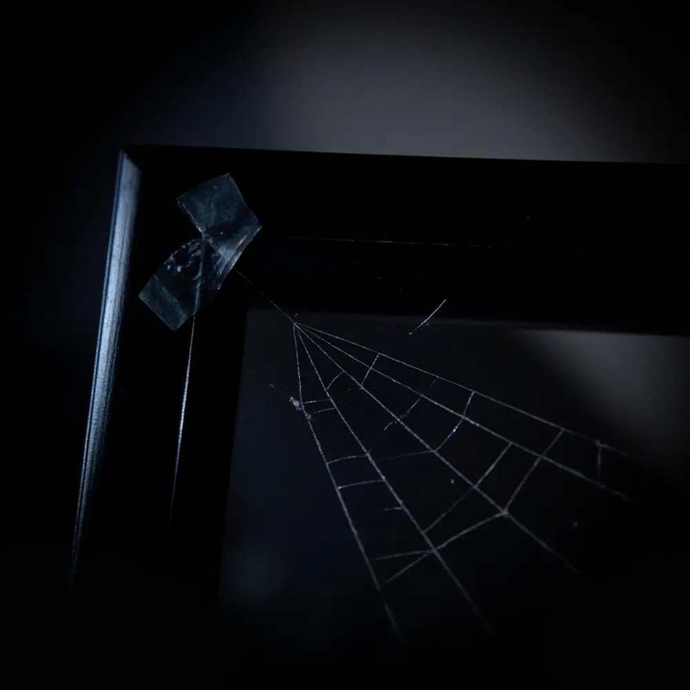 - How to Decorate with Spiders and Cobwebs in a Chic Way 9 How do you get fake spider webs to stick to smooth surfaces?