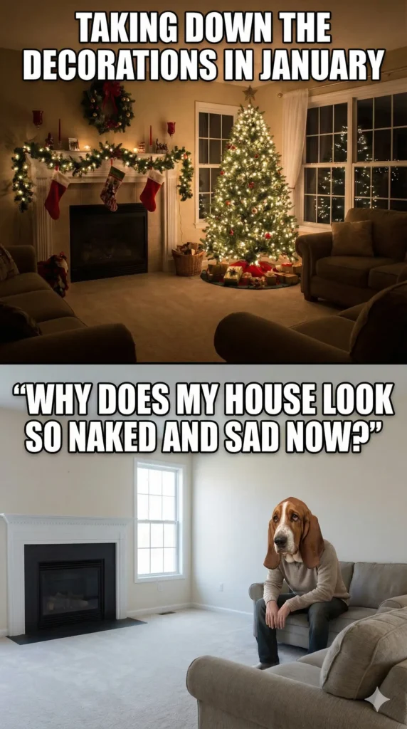 25 Funny Merry Christmas Memes That Sleigh Every Time -