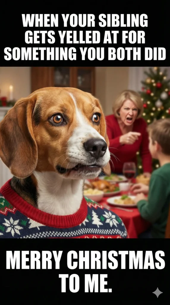 25 Funny Merry Christmas Memes That Sleigh Every Time -