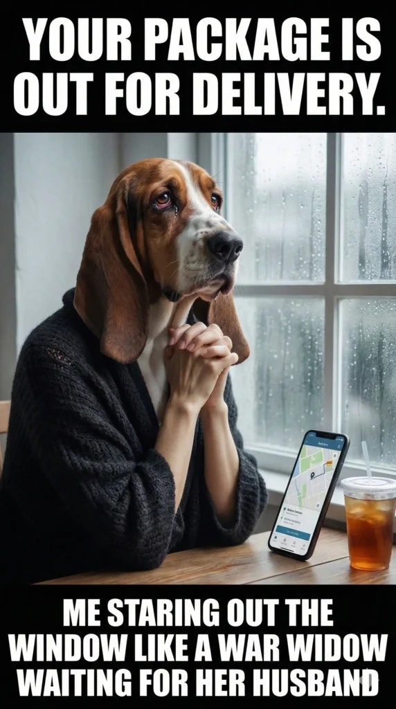 25 Funny Merry Christmas Memes That Sleigh Every Time -