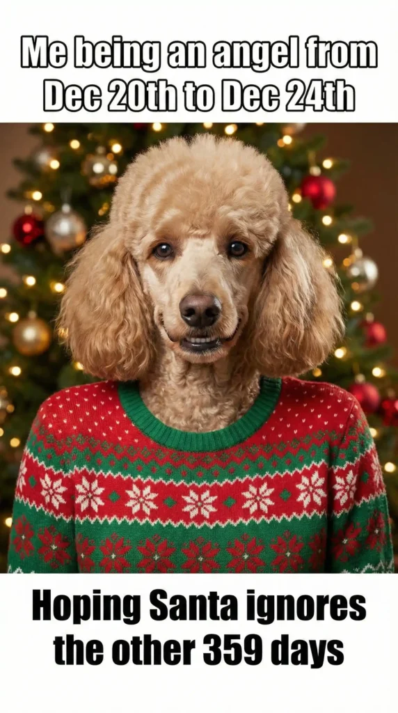 15 Naughty Christmas Memes Santa Pretends Not to See -