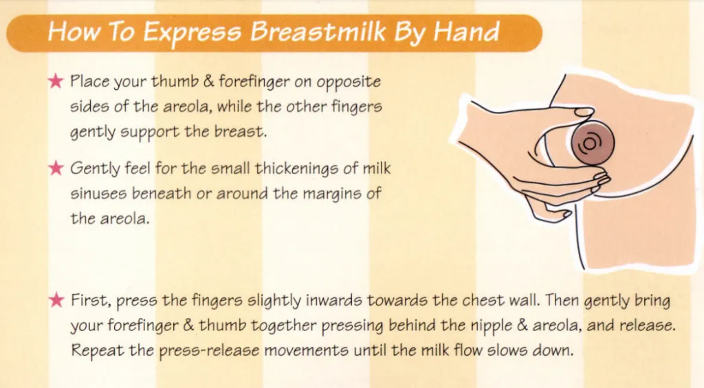 How To Do Hand Expression Of Breastmilk: Best Techniques 5 how to hand express breastmilk by hand