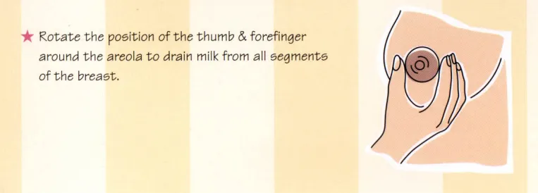 How To Do Hand Expression Of Breastmilk: Best Techniques 7 manual expression of breast milk