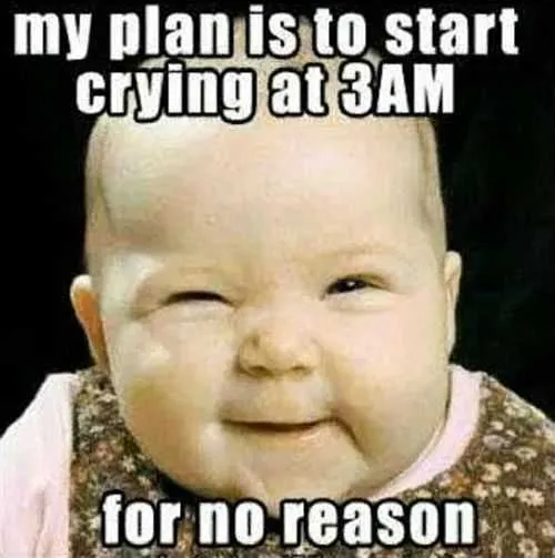 50 best Baby Memes: Cute, Funny, Boss, Ugly and Crying memes 2021 26 Cute Baby Memes Touch My Cake Andiwill Cut You Cute Baby
