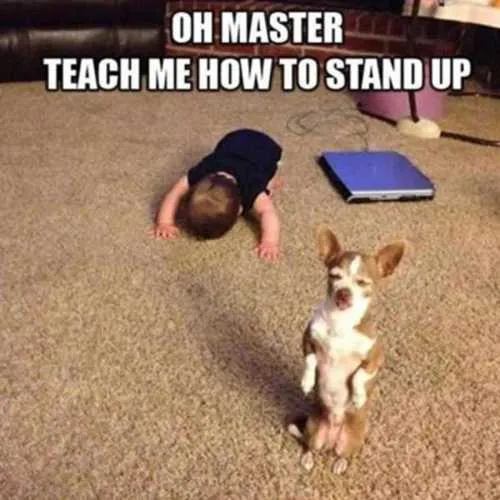 50 best Baby Memes: Cute, Funny, Boss, Ugly and Crying memes 2021 37 funny baby meme 11