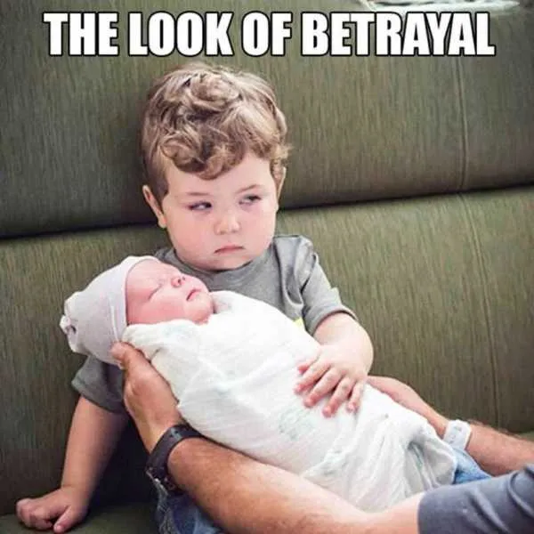 50 best Baby Memes: Cute, Funny, Boss, Ugly and Crying memes 2021 5 Funny Baby Memes That Are Adorably Cute And Clever