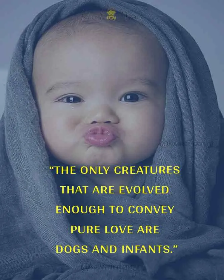 90+ Best Baby Quotes To Enjoy Parenthood (WITH IMAGES) 15 Funny-Baby-Quotes-90-best-Baby-Quotes-To-Share-The-Love-KAVEESH-MOMMY-5