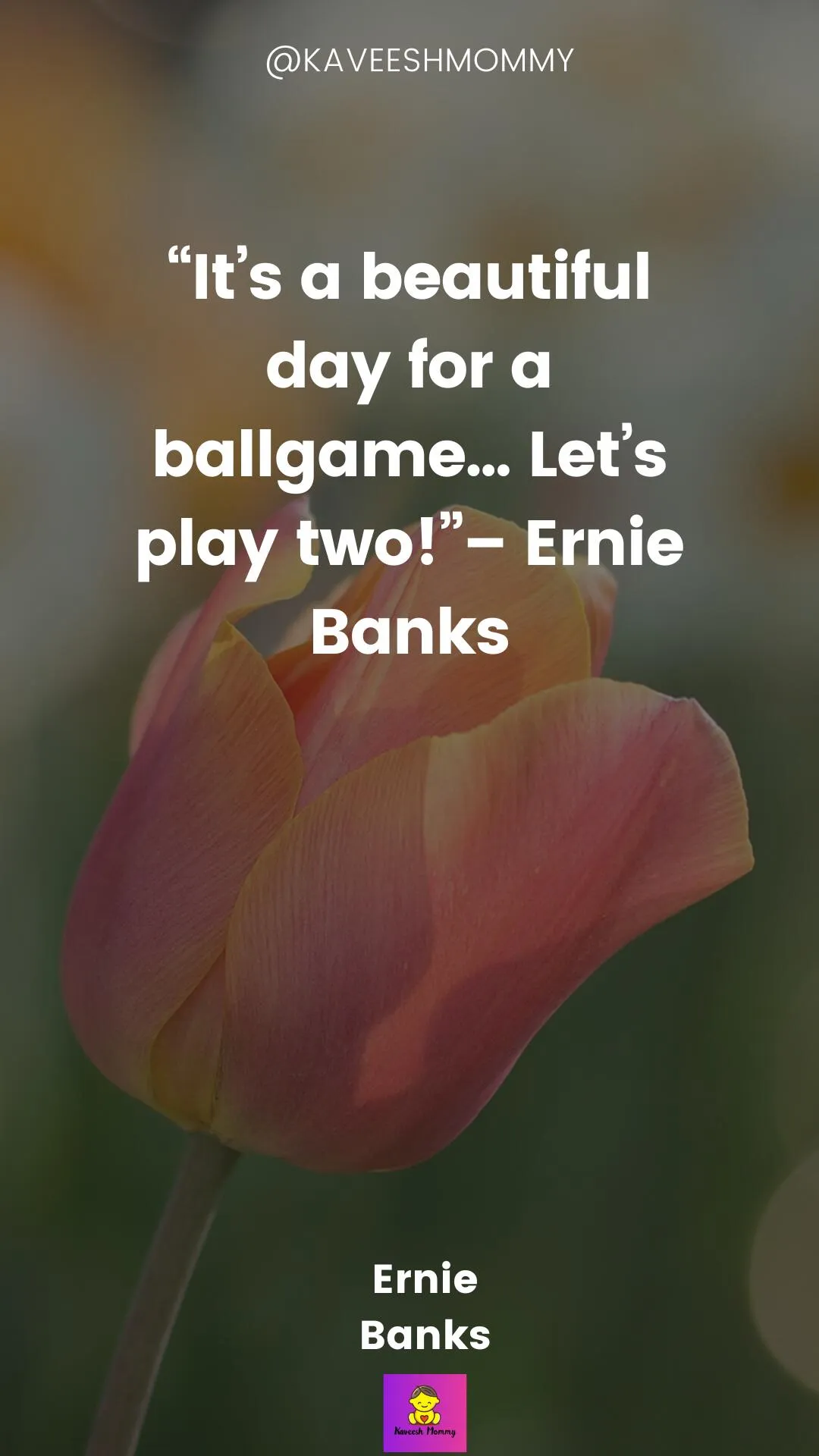 "Quotes about embracing every moment"