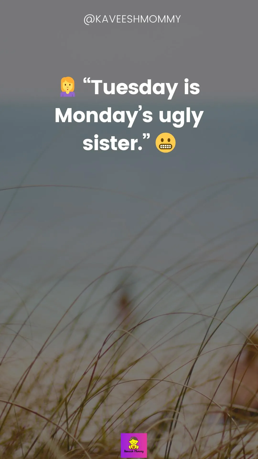 "Monday Morning Humor for a Brighter Day"