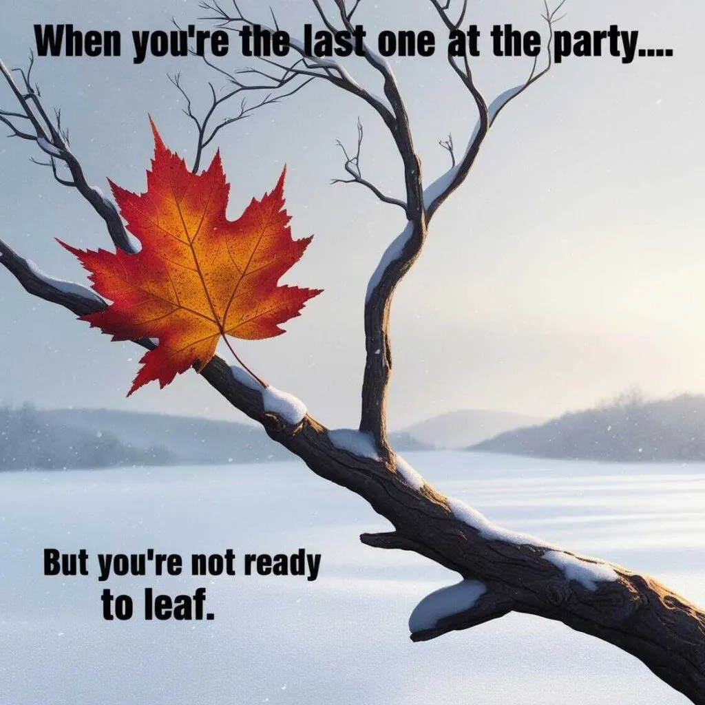 25 Hilarious Thanksgiving Memes That Will Make Your Holiday Even Better -