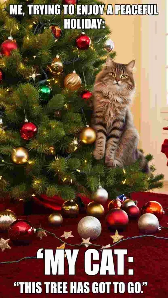 20 Best Christmas Memes Featuring Animals 3 20 Best Christmas Memes Featuring Animals -