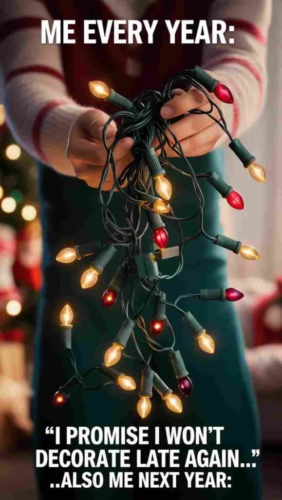 20 Best Funny Christmas Memes for Adults -